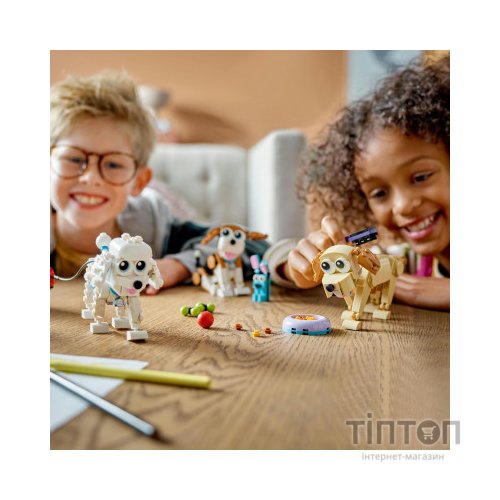 Конструктор LEGO Creator Милі собачки 475 деталей (31137)