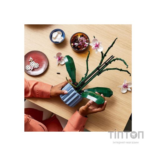 Конструктор LEGO Icons Орхідея (10311-)