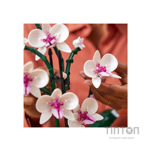 Конструктор LEGO Icons Орхідея (10311-)