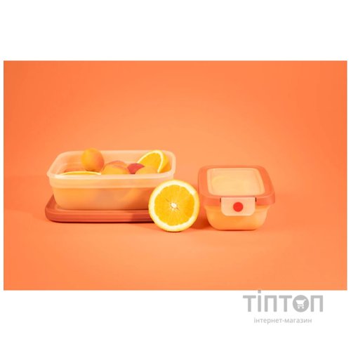 Контейнер Tefal oneClick 0.5 л (N1210210)