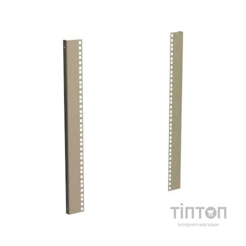 Кріплення для 19" обладнання Conteg Направляючі 19" до настінних шаф RUN/RUD 12U, 1 пара (DP-LV-N-12)