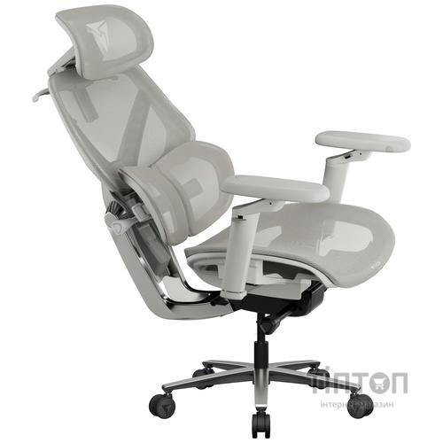 Крісло для геймерів TX3 Flex Pro Mesh Light Grey (TEGC-3076104.42)