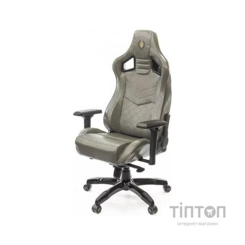 Крісло ігрове Аклас Ретчет PL MB Серое (12446)