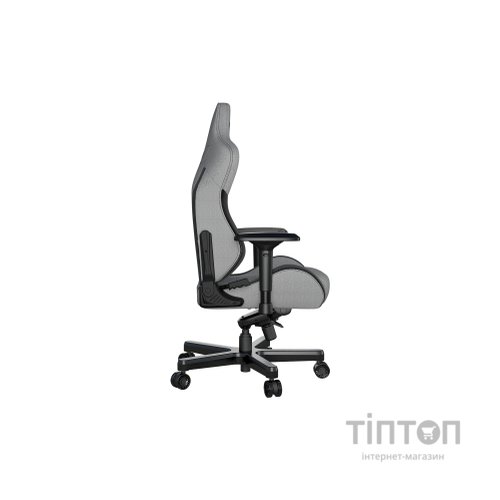 Крісло ігрове Anda Seat T-Pro 2 Size XL Grey/Black (AD12XLLA-01-GB-F)