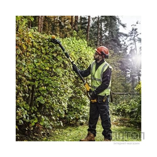Кущоріз DeWALT DCMPH566P1