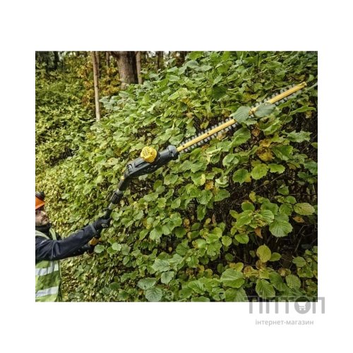 Кущоріз DeWALT DCMPH566P1