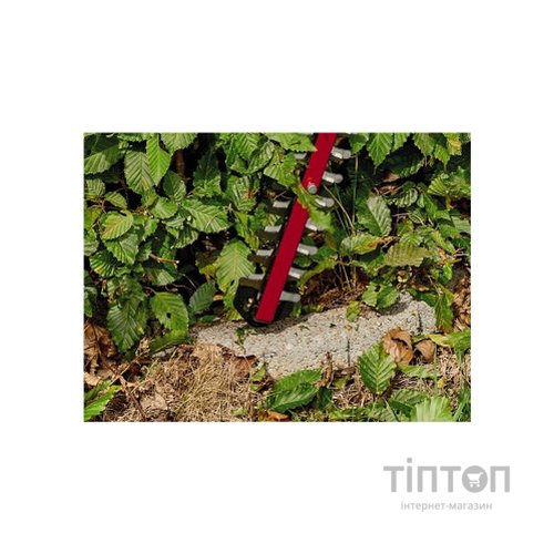 Кущоріз Einhell ARCURRA (без АКБ та ЗП) (3410920)