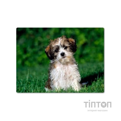 Килимок Pod Mishkou Лохматый щенок