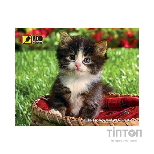 Килимок PODMYSHKU кошеня в корзині