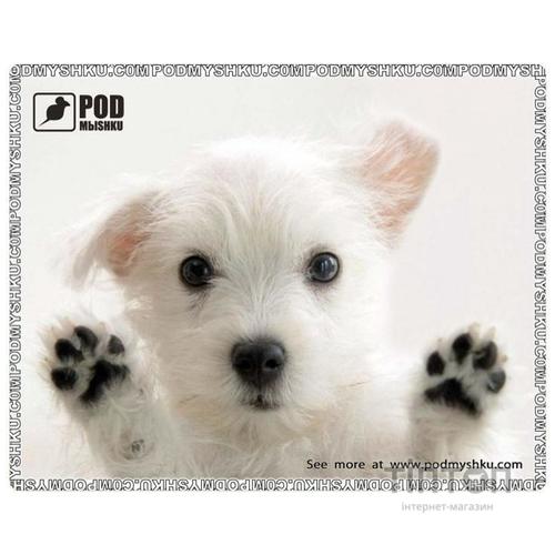 Килимок PODMYSHKU Лапи вгору