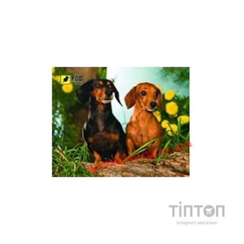 Килимок PODMYSHKU Такси коричневий