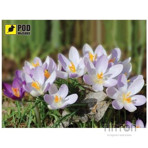 Килимок PODMYSHKU весна-крокуси