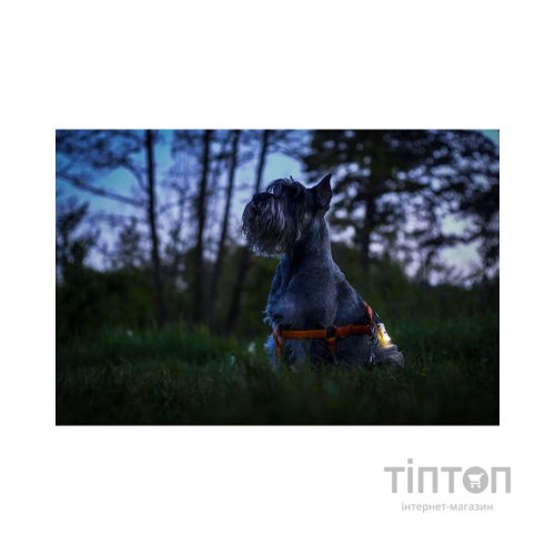 Ліхтар Armytek Zippy Yellow (F06001Y)