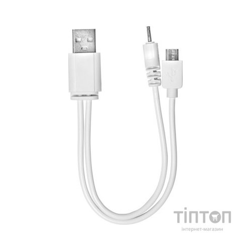 Ліхтар Delux REL-101 36 LED 4W (90017676)