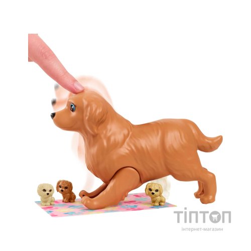 Лялька Barbie Маленьке тріо (HCK75)