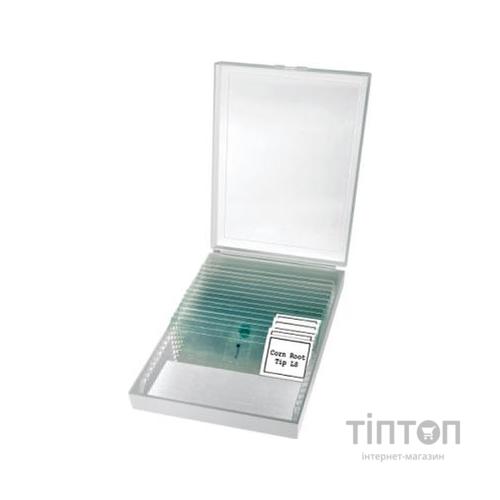 Мікроскоп Bresser Erudit Basic Bino 40x-400x (922746)