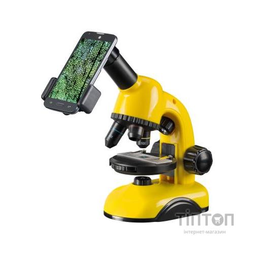 Мікроскоп National Geographic Biolux 40x-800x з адаптером для смартфона (927789)