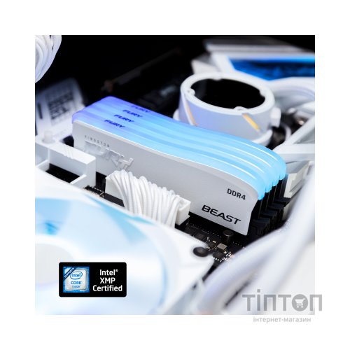 Модуль пам'яті для комп'ютера DDR4 32GB (2x16GB) 3200 MHz Beast RGB Special Edition Kingston Fury (ex.HyperX) (KF432C16BWAK2/32)