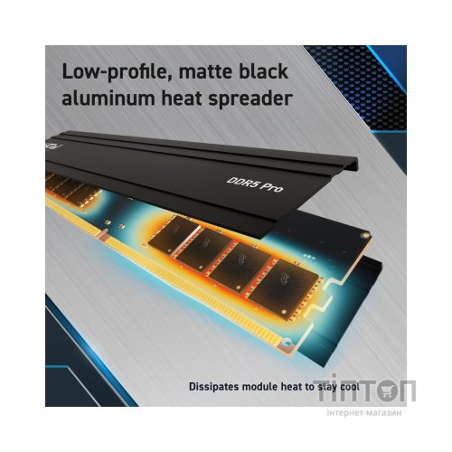 Модуль пам'яті для комп'ютера DDR5 32GB (2x16GB) 5600 MHz Pro Micron (CP2K16G56C46U5)