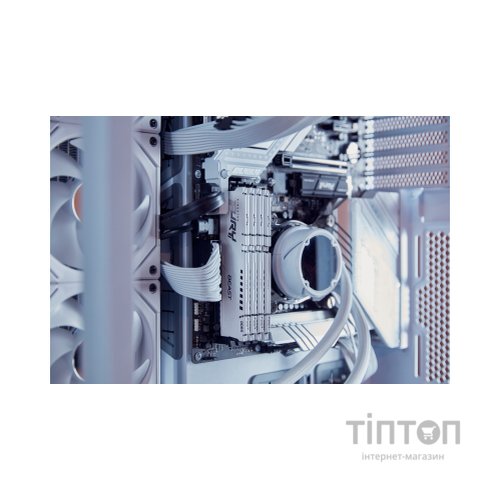 Модуль пам'яті для комп'ютера DDR5 64GB (2x32GB) 5600 MHz Beast White EXPO Kingston Fury (ex.HyperX) (KF556C36BWEK2-64)