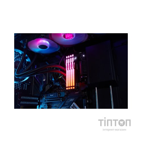 Модуль пам'яті для комп'ютера DDR5 64GB (2x32GB) 5600 MHz FURY Beast RGB Kingston Fury (ex.HyperX) (KF556C40BBAK2-64)