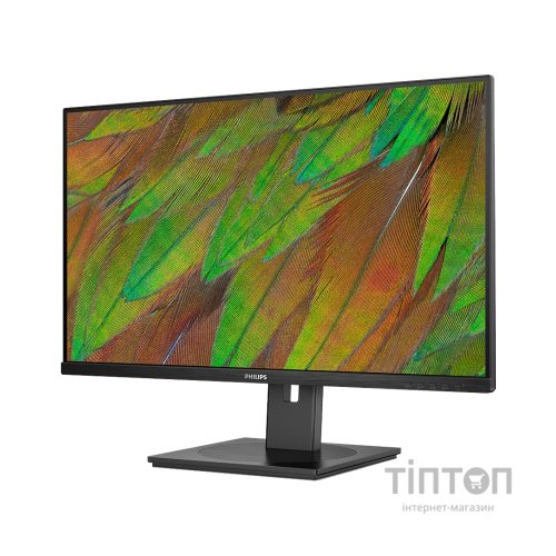 Монітор Philips 32B1N3800/00