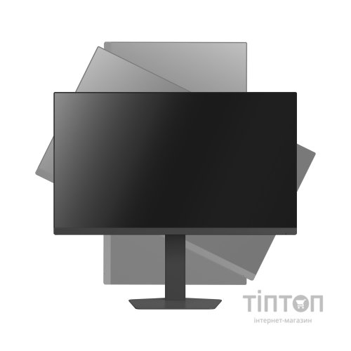Монітор Thunderobot CF25F300L (JT00EH00R)