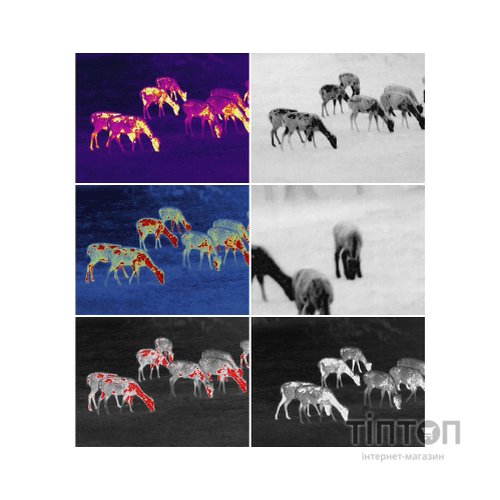 Монокуляр Guide Тепловізійний TrackIR 50mm 400x300px (747107)