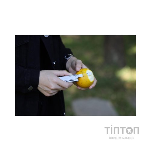 Мультитул Roxon зі змінними бітами Grey (M3)