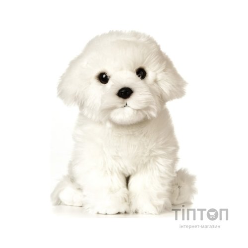 М'яка іграшка Keycraft Гігантське мальтійське цуценя 24 см (6337411)