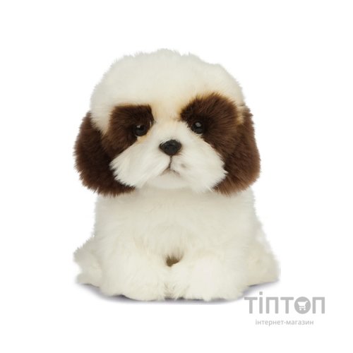 М'яка іграшка Keycraft Ши-тцу 20 см (6337412)