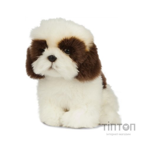 М'яка іграшка Keycraft Ши-тцу 20 см (6337412)