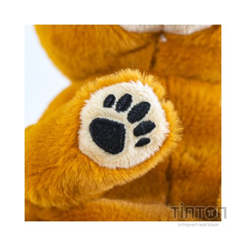 М'яка іграшка Ty Beanie Bellies Ведмедик Duncan (40549)