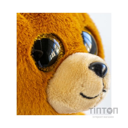 М'яка іграшка Ty Beanie Bellies Ведмедик Duncan (40549)