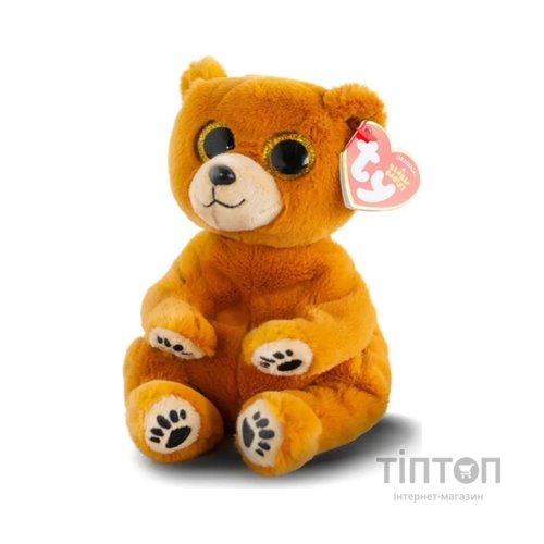 М'яка іграшка Ty Beanie Bellies Ведмедик Duncan (40549)