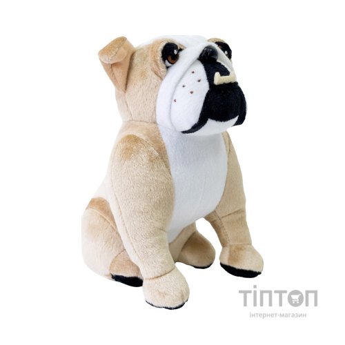 М'яка іграшка WP Merchandise собака бульдог Коржик 20 см (FWPADMDOG22BG0000)