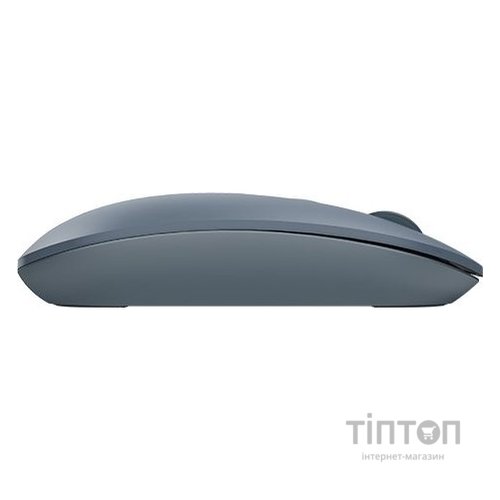 Мышь беспроводная A4Tech FG20 Ash Blue USB