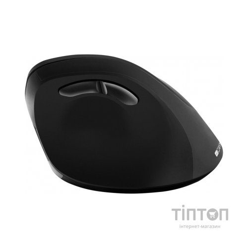 Мишка Canyon CNS-CMSW16B Wireless Black (CNS-CMSW16B)