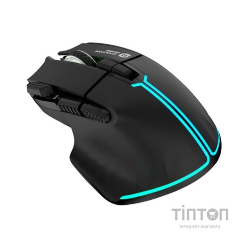 Мишка Canyon Fortnax GM-636 RGB USB Black (CND-SGM636B)