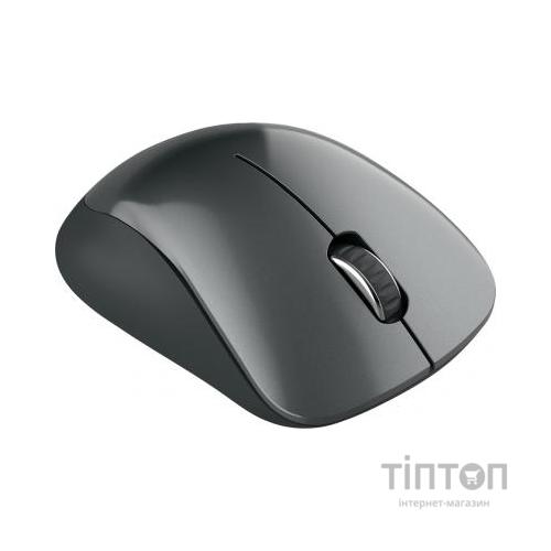 Мишка Canyon MW-11 Wireless Pixart Black (CNE-CMSW11B)