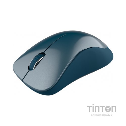 Мишка Canyon MW-11 Wireless Pixart Blue (CNE-CMSW11BL)