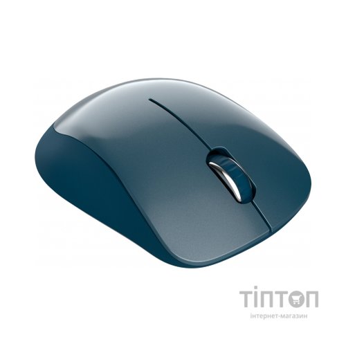 Мишка Canyon MW-11 Wireless Pixart Blue (CNE-CMSW11BL)