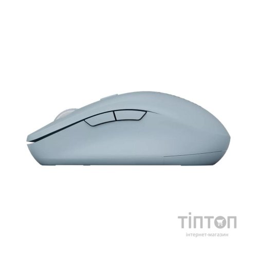 Мишка Canyon MW-12 Wireless/Bluetooth Blue (CNS-CMSW12BL)