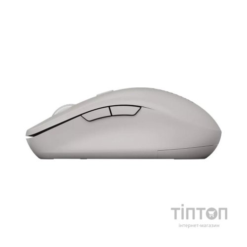 Мишка Canyon MW-12 Wireless/Bluetooth Grey (CNS-CMSW12DG)