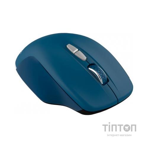 Мишка Canyon MW-21 Wireless Blue LED Blue (CNS-CMSW21BL)