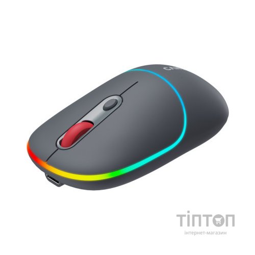Мишка Canyon MW-22 Dual Band RGB Wireless Dark Grey (CNS-CMSW22DG)
