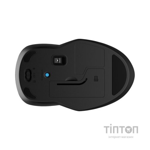 Мишка HP 255 Wireless Black (8R3U1UT)