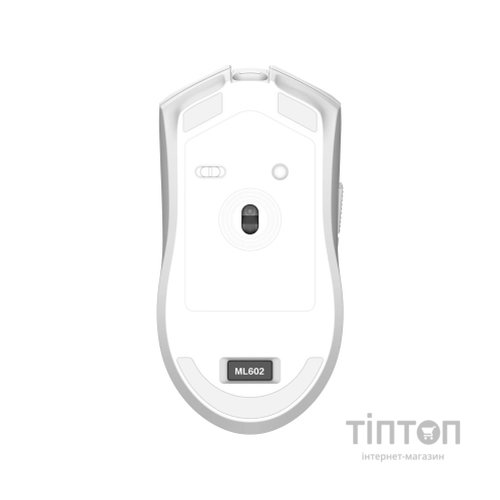 Мишка Thunderobot ML602 SE Dual Mode wireless (ML602SE)