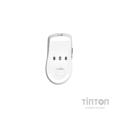 Мишка Thunderobot NL6 Tril-Mode wireless Mouse (NL6)