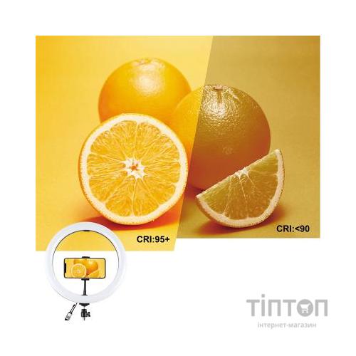 Набір блогера Puluz Ring LED lamp 12" (PU411EU)